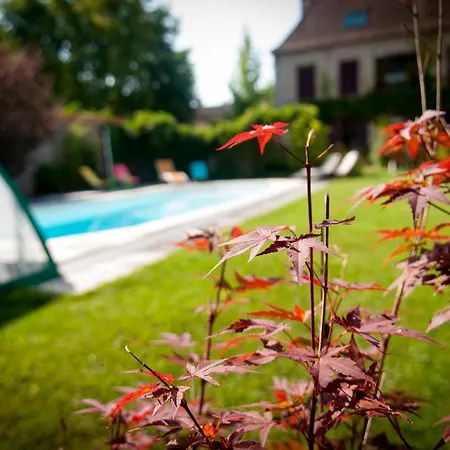 Au Puy Des Verites Bed & Breakfast
